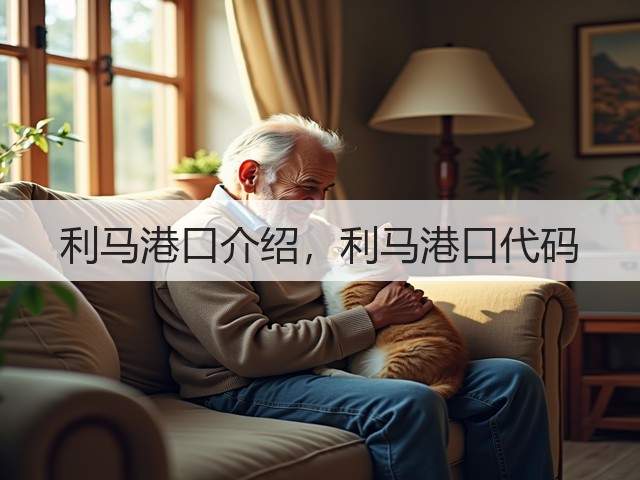 利马港口介绍，利马港口代码(图1)
