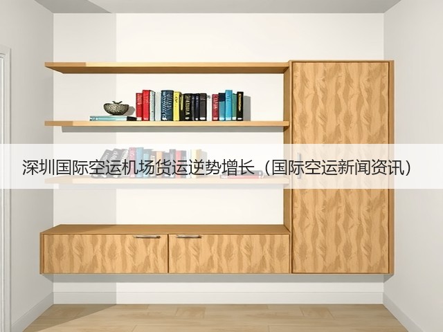 深圳国际空运机场货运逆势增长（国际空运新闻资讯）(图3)