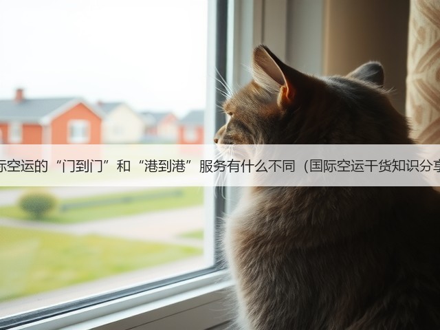 国际空运的“门到门”和“港到港”服务有什么不同(国际空运干货知识分享)(图3) 国际空运的“门到门”和“港到港”服务有什么不同(国际空运干货知识分享)(图3)