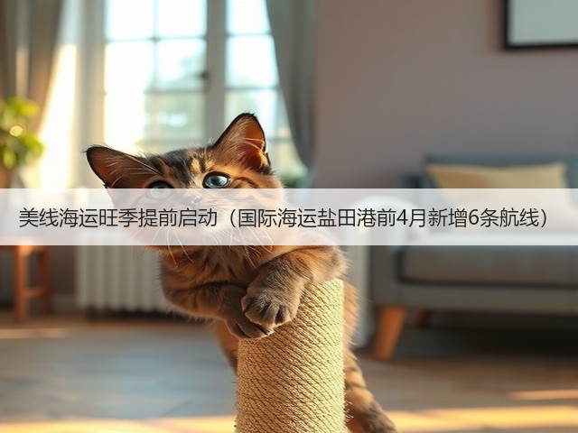 美线海运旺季提前启动（国际海运盐田港前4月新增6条航线）(图1)