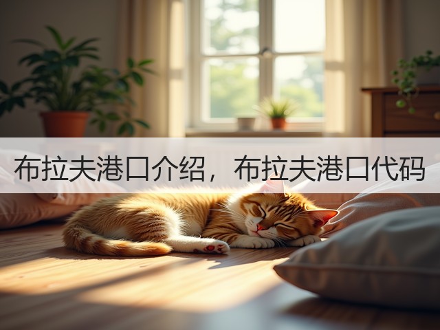 布拉夫港口介绍,布拉夫港口代码(图3) 布拉夫港口介绍,布拉夫港口代码(图3)