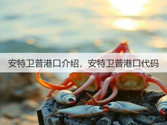安特卫普港口介绍,安特卫普港口代码(图3) 安特卫普港口介绍,安特卫普港口代码(图3)