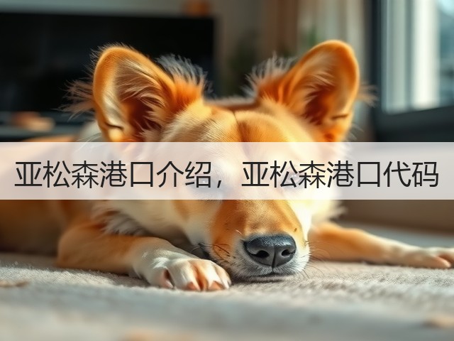 亚松森港口介绍,亚松森港口代码(图1) 亚松森港口介绍,亚松森港口代码(图1)