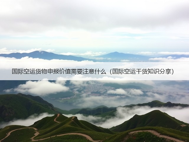 国际空运货物申报价值需要注意什么（国际空运干货知识分享）(图3)