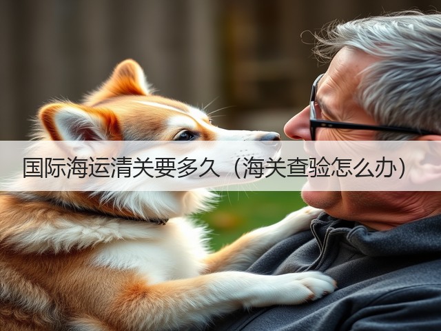 国际海运清关要多久(海关查验怎么办)(图2) 国际海运清关要多久(海关查验怎么办)(图2)