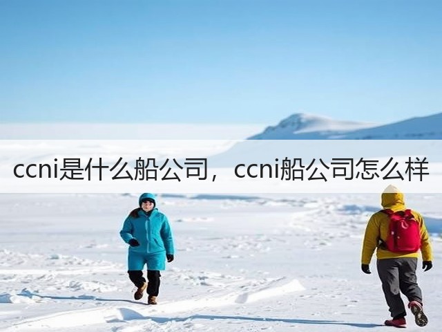 ccni是什么船公司，ccni船公司怎么样(图2)