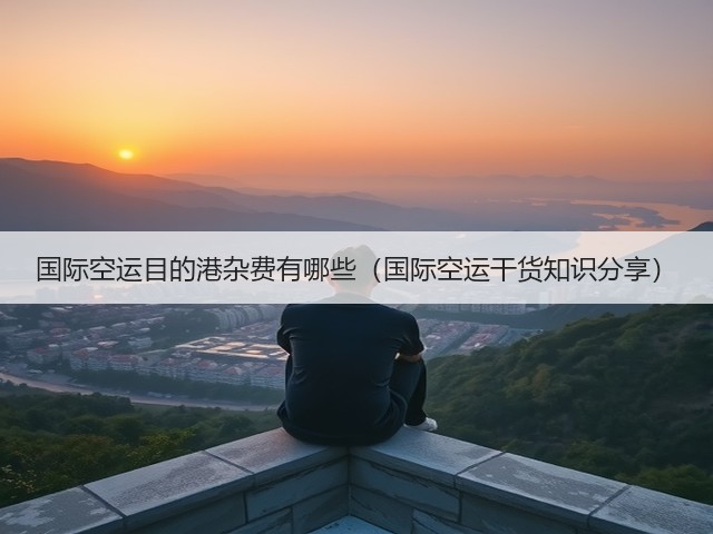 国际空运目的港杂费有哪些（国际空运干货知识分享）(图1)