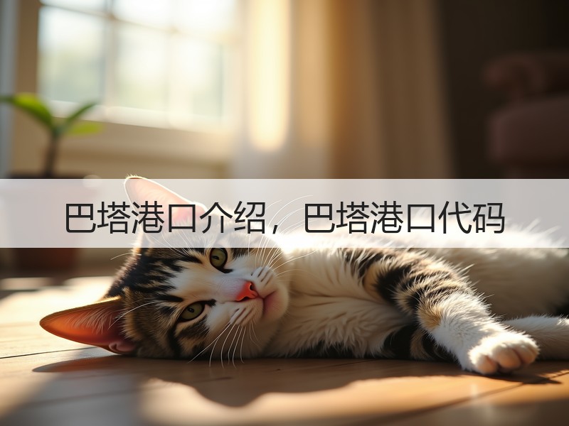 巴塔港口介绍，巴塔港口代码