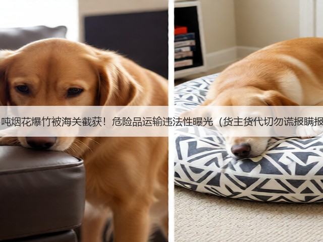 15吨烟花爆竹被海关截获!危险品运输违法性曝光(货主货代切勿谎报瞒报)(图3) 15吨烟花爆竹被海关截获!危险品运输违法性曝光(货主货代切勿谎报瞒报)(图3)