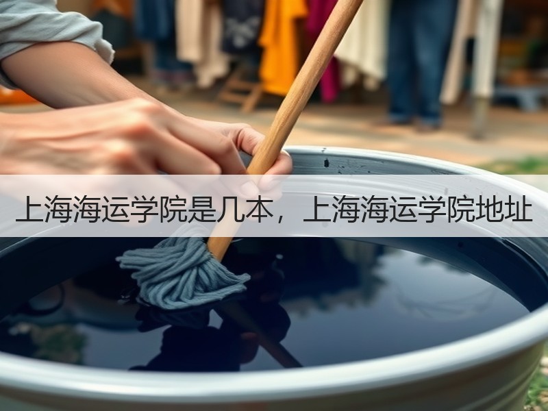上海海运学院是几本,上海海运学院地址 上海海运学院是几本,上海海运学院地址