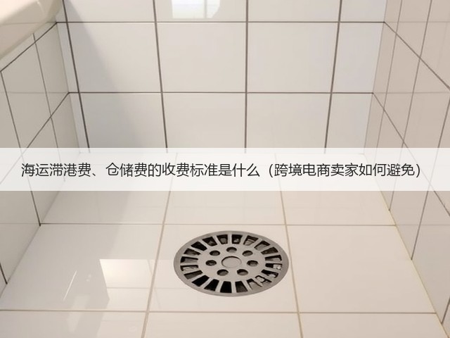 海运滞港费、仓储费的收费标准是什么(跨境电商卖家如何避免)(图1) 海运滞港费、仓储费的收费标准是什么(跨境电商卖家如何避免)(图1)