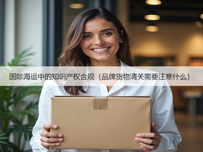 国际海运中的知识产权合规（品牌货物清关需要注意什么）