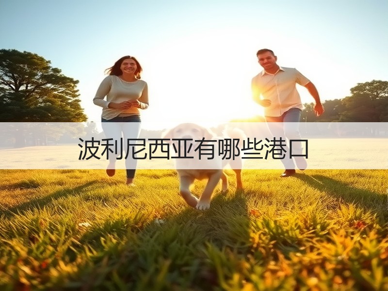 波利尼西亚有哪些港口