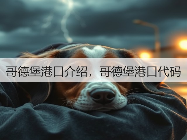 哥德堡港口介绍，哥德堡港口代码(图3)