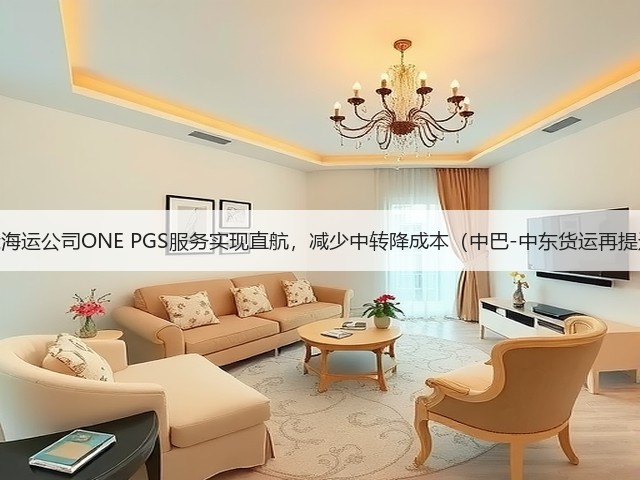 国际海运公司ONE PGS服务实现直航，减少中转降成本（中巴-中东货运再提速）(图1)