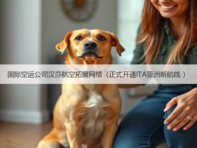 国际空运公司汉莎航空拓展网络(正式开通ITA亚洲新航线 )(图3) 国际空运公司汉莎航空拓展网络(正式开通ITA亚洲新航线 )(图3)