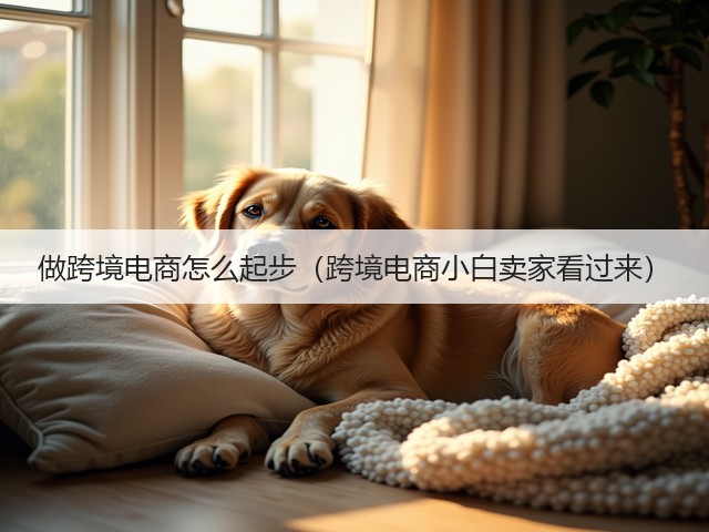 做跨境电商怎么起步(跨境电商小白卖家看过来)(图1) 做跨境电商怎么起步(跨境电商小白卖家看过来)(图1)