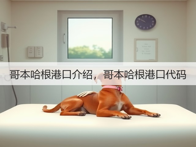 哥本哈根港口介绍，哥本哈根港口代码(图1)