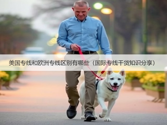 美国专线和欧洲专线区别有哪些(国际专线干货知识分享)(图1) 美国专线和欧洲专线区别有哪些(国际专线干货知识分享)(图1)