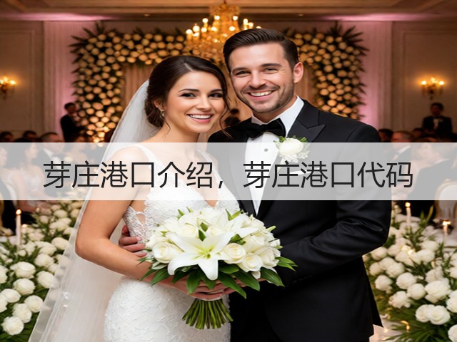 芽庄港口介绍，芽庄港口代码(图1)