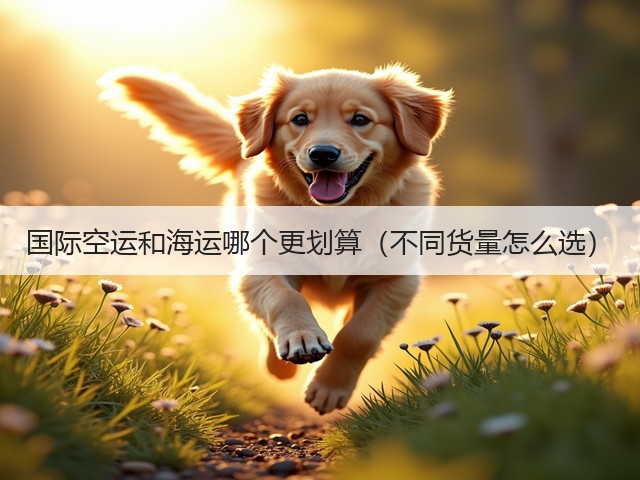 国际空运和海运哪个更划算(不同货量怎么选)(图1) 国际空运和海运哪个更划算(不同货量怎么选)(图1)