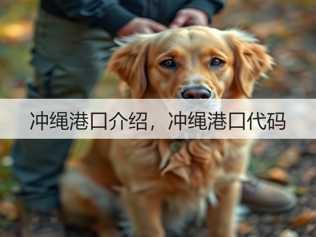 冲绳港口介绍，冲绳港口代码(图1)