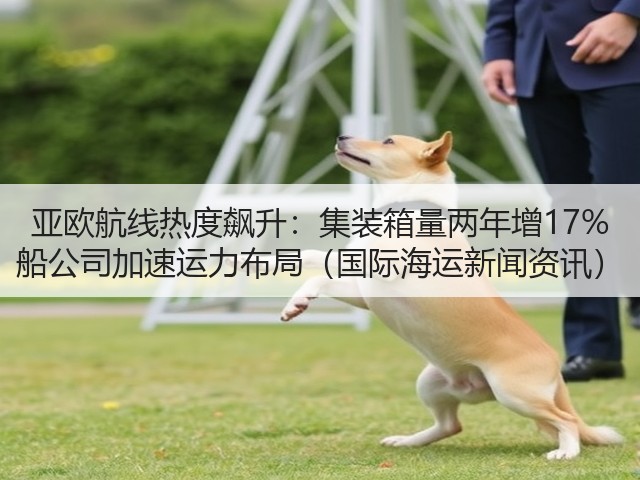 亚欧航线热度飙升:集装箱量两年增17% 船公司加速运力布局(国际海运新闻资讯)(图3) 亚欧航线热度飙升:集装箱量两年增17% 船公司加速运力布局(国际海运新闻资讯)(图3)