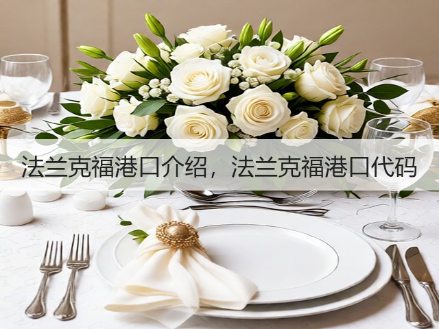 法兰克福港口介绍，法兰克福港口代码(图2)