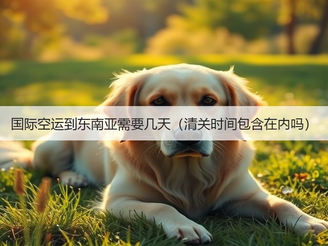 国际空运到东南亚需要几天(清关时间包含在内吗)(图1) 国际空运到东南亚需要几天(清关时间包含在内吗)(图1)