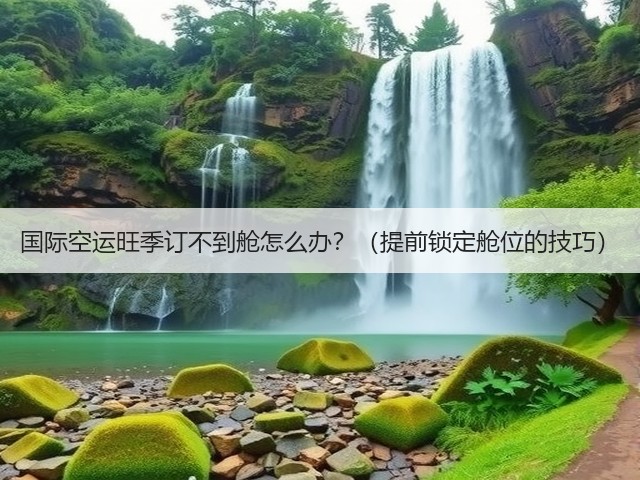 国际空运旺季订不到舱怎么办？（提前锁定舱位的技巧）(图3)