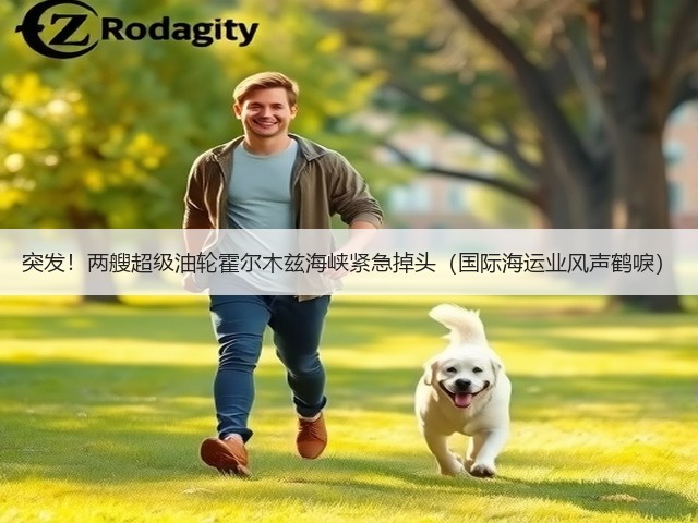 突发!两艘超级油轮霍尔木兹海峡紧急掉头(国际海运业风声鹤唳)(图3) 突发!两艘超级油轮霍尔木兹海峡紧急掉头(国际海运业风声鹤唳)(图3)