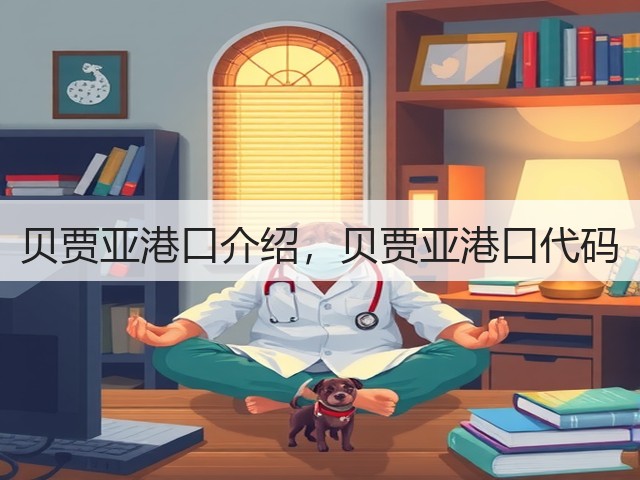 贝贾亚港口介绍，贝贾亚港口代码(图3)