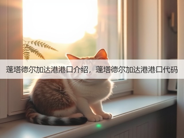 蓬塔德尔加达港港口介绍，蓬塔德尔加达港港口代码(图2)