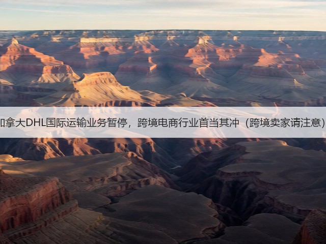 加拿大DHL国际运输业务暂停,跨境电商行业首当其冲(跨境卖家请注意)(图3) 加拿大DHL国际运输业务暂停,跨境电商行业首当其冲(跨境卖家请注意)(图3)
