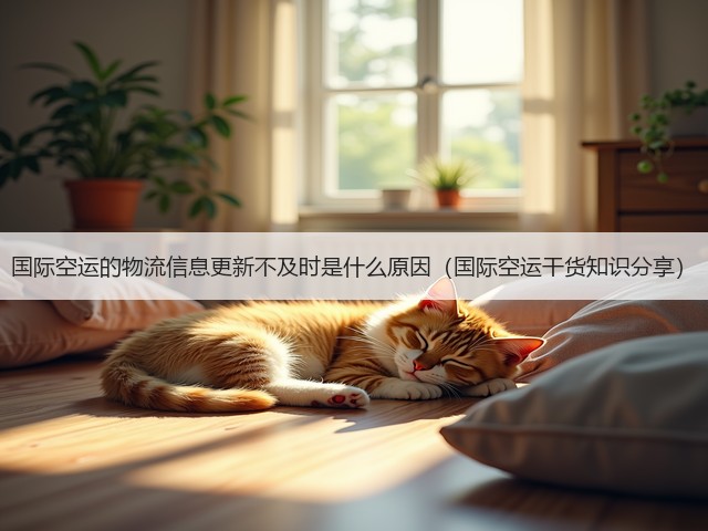 国际空运的物流信息更新不及时是什么原因（国际空运干货知识分享）(图2)