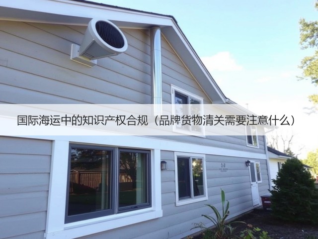 国际海运中的知识产权合规（品牌货物清关需要注意什么）(图2)