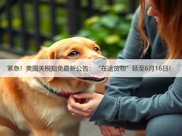 紧急！美国关税豁免最新公告：“在途货物”延至6月16日！(图1)