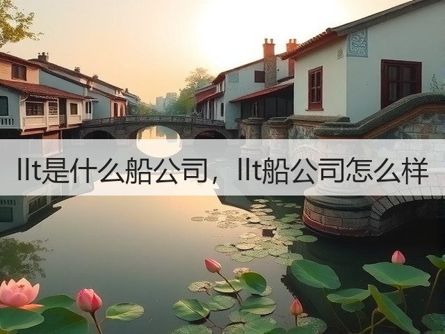 llt是什么船公司，llt船公司怎么样(图3)