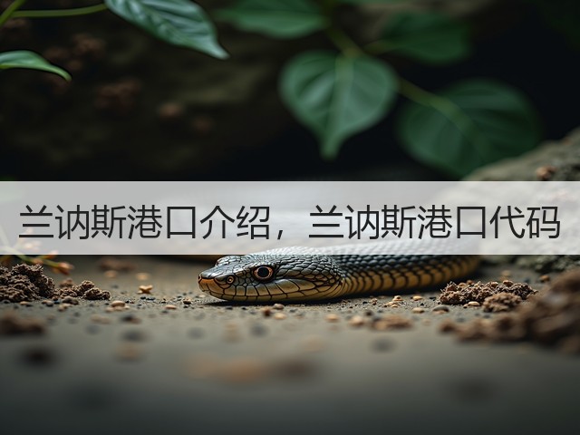 兰讷斯港口介绍，兰讷斯港口代码(图1)