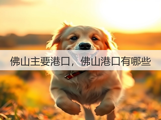 佛山主要港口，佛山港口有哪些(图2)