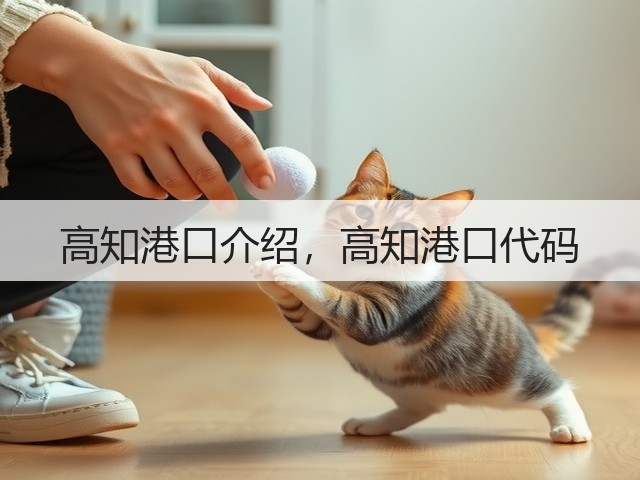 高知港口介绍，高知港口代码(图2)
