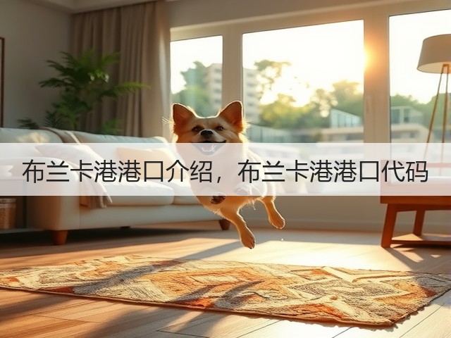 布兰卡港港口介绍，布兰卡港港口代码(图2)