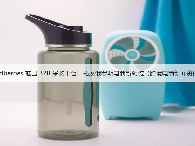 Wildberries 推出 B2B 采购平台，拓展俄罗斯电商新领域（跨境电商新闻资讯）(图1)