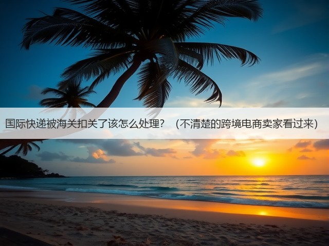 国际快递被海关扣关了该怎么处理?(不清楚的跨境电商卖家看过来)(图3) 国际快递被海关扣关了该怎么处理?(不清楚的跨境电商卖家看过来)(图3)