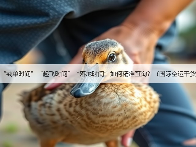 国际空运的“截单时间”“起飞时间”“落地时间”如何精准查询?(国际空运干货知识分享)(图3) 国际空运的“截单时间”“起飞时间”“落地时间”如何精准查询?(国际空运干货知识分享)(图3)