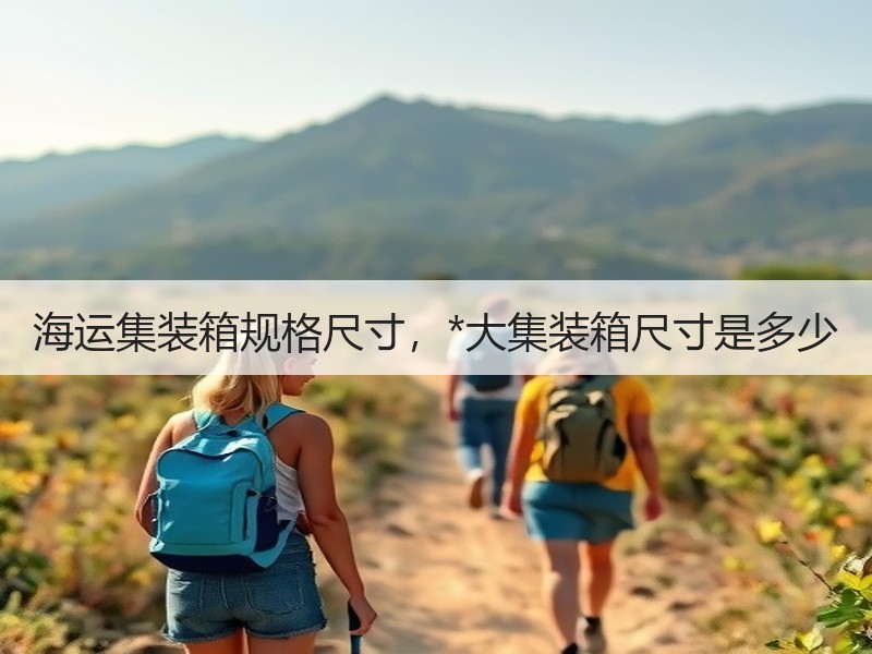 海运集装箱规格尺寸,*大集装箱尺寸是多少 海运集装箱规格尺寸,*大集装箱尺寸是多少