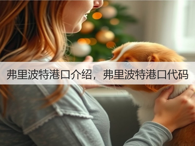弗里波特港口介绍，弗里波特港口代码