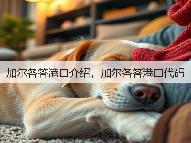 加尔各答港口介绍,加尔各答港口代码 加尔各答港口介绍,加尔各答港口代码