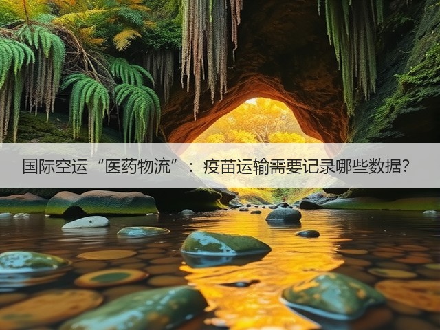 国际空运“医药物流”：疫苗运输需要记录哪些数据？(图3)