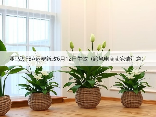 亚马逊FBA运费新政6月12日生效（跨境电商卖家请注意）(图3)